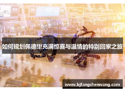 如何规划佩德里充满惊喜与温情的特别回家之旅