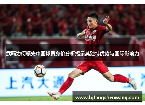 武磊为何领先中国球员身价分析揭示其独特优势与国际影响力