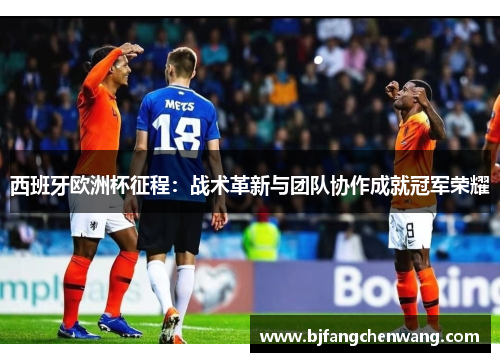 西班牙欧洲杯征程：战术革新与团队协作成就冠军荣耀