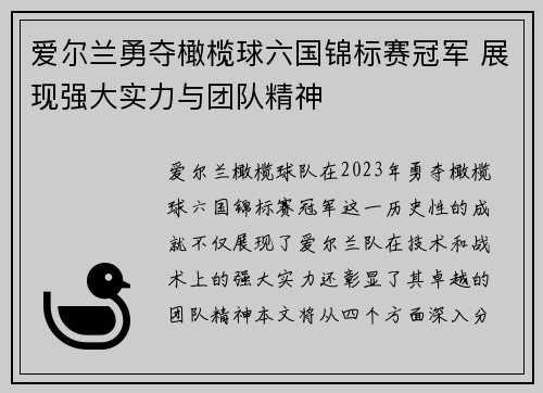 爱尔兰勇夺橄榄球六国锦标赛冠军 展现强大实力与团队精神